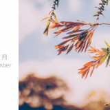 11月のおしらせ(10/26更新)