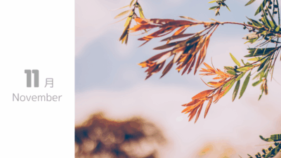 11月のおしらせ(10/26更新)