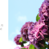 6月のおしらせ
