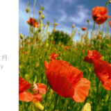 7月のおしらせ